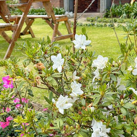 Kent Cottage Нувара Елия Екстериор снимка